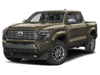 Toyota Tacoma Rental