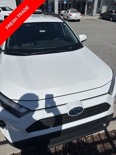 2023 Toyota RAV4 HYBRID Woodland Edition