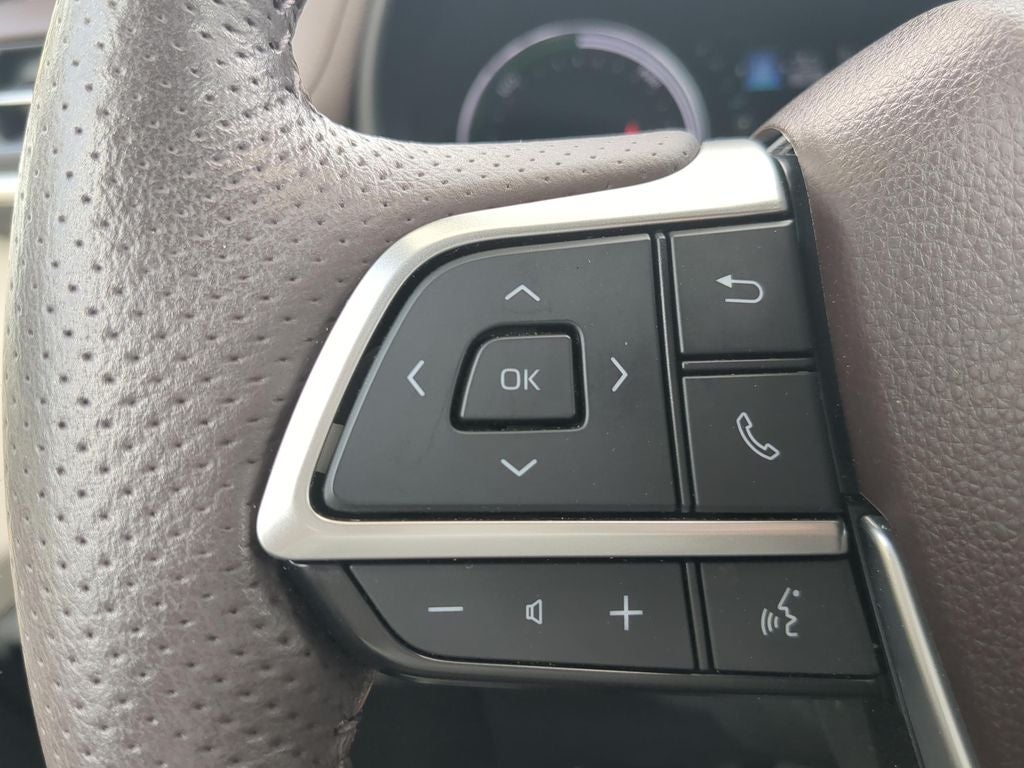 2023 Toyota SIENNA PLATINUM Platinum 7 Passenger