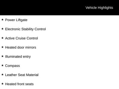 2021 Toyota Sienna Platinum 7 Passenger