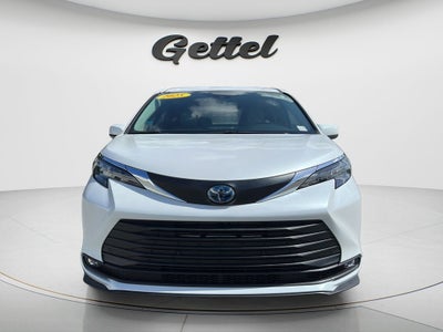2025 Toyota Sienna XLE 8 Passenger