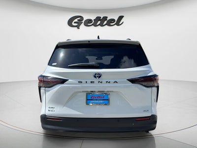 2025 Toyota Sienna XLE 8 Passenger